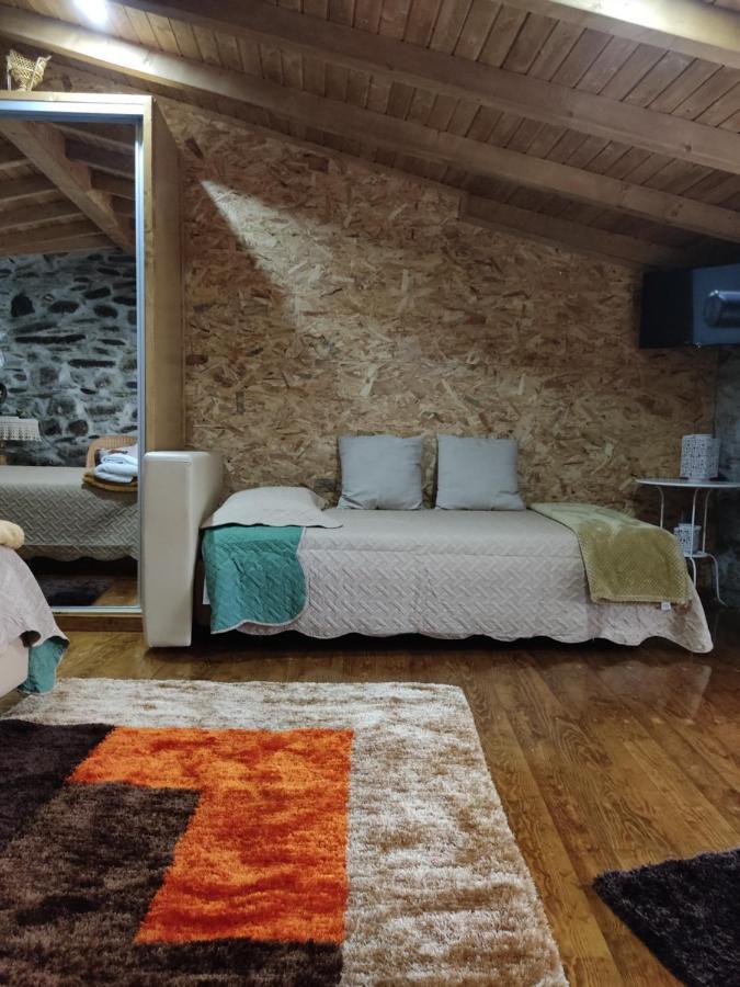 Refugio D'Anita Douro Valley House Barcos المظهر الخارجي الصورة