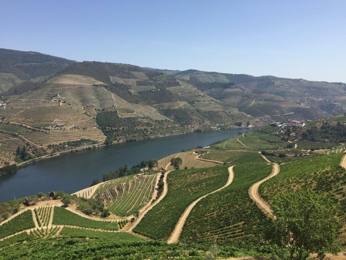 Refugio D'Anita Douro Valley House Barcos المظهر الخارجي الصورة