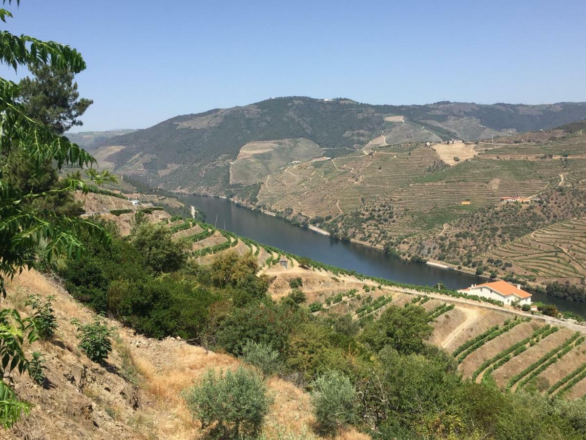 Refugio D'Anita Douro Valley House Barcos المظهر الخارجي الصورة